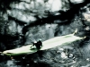 jccc_horpix4