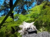 FYEO_web_katoomba_varen